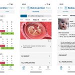 Bebisvarlden app