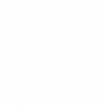 SA_left_allwhite