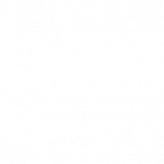 BVS_logo_marketing_white