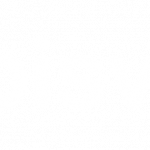 BVS_logo_white