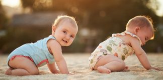 Namntoppen i Nederländerna 2024