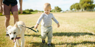 Namn inspirerade av djurriket