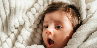 Namntoppen i Nederländerna 2025