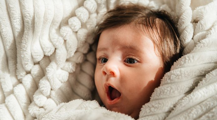 Namntoppen i Nederländerna 2025