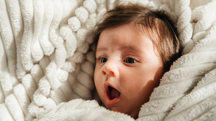 Namntoppen i Nederländerna 2025