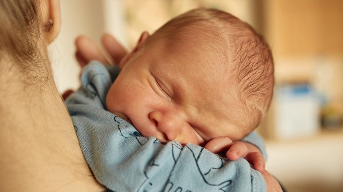 Namntoppen i Sverige 2025